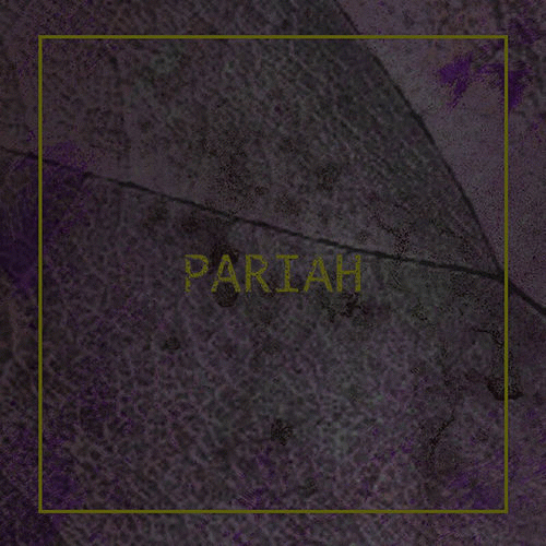 Void Cruiser : Pariah
